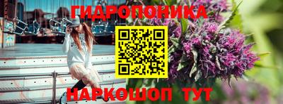 крисы Ковров