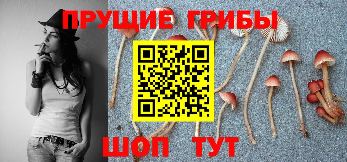Псилоцибиновые грибы Magic Shrooms  Галлюциногенные грибы Cubensis  Вход с VPN  Мыски 
