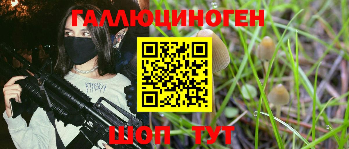 Галлюциногенные грибы GOLDEN TEACHER Мыски